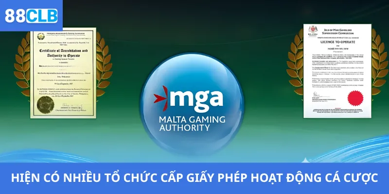 Giấy Phép Hoạt Động 3 Hiện có nhiều tổ chức cấp giấy phép hoạt động cá cược