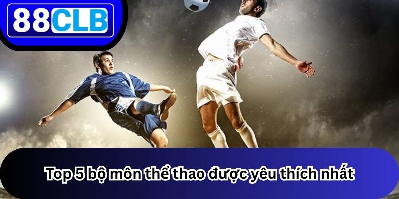 Thể Thao 2 Top 5 bộ môn thể thao được yêu thích nhất